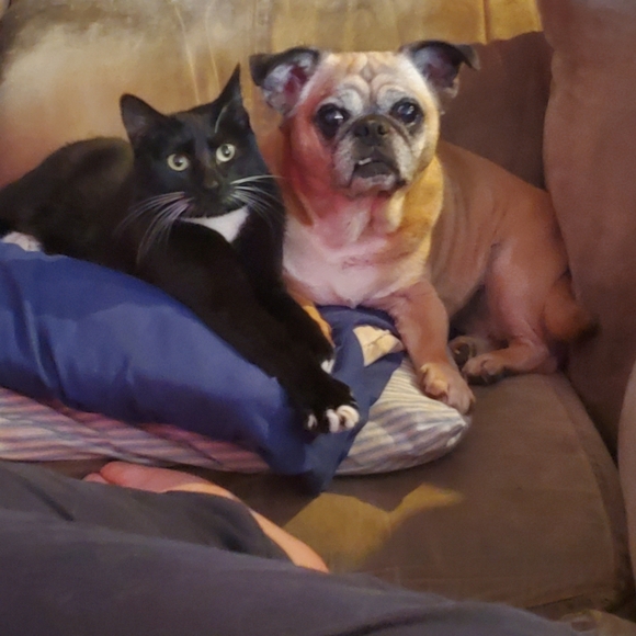 READ THIS FIRST - Picture 2 of 4